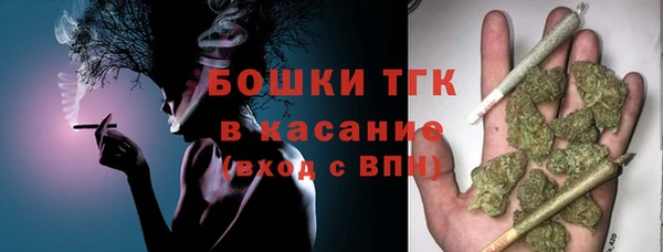 ГАЛЛЮЦИНОГЕННЫЕ ГРИБЫ Алзамай