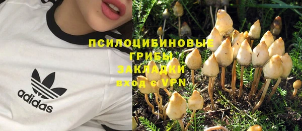 кокс Алексеевка